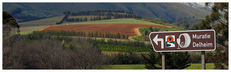 Stellenbosch Wine Tours - Full Day and Half Day Wine Tours of Stellenbosch